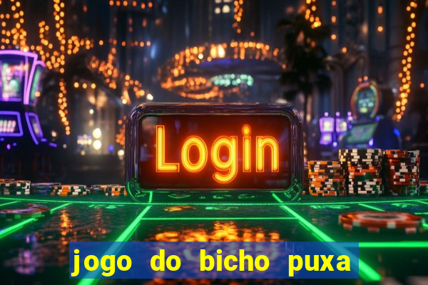 jogo do bicho puxa de dona maria